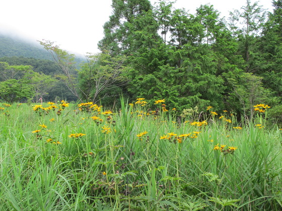 a0166196_9242686.jpg
