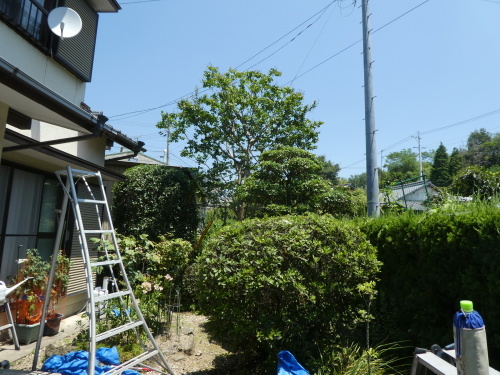 c0108198_17222741.jpg