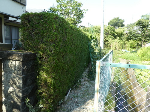 c0108198_17224075.jpg