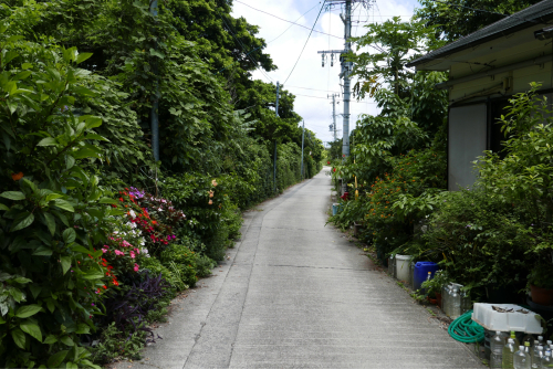 海界の村を歩く 東シナ海 小宝島_d0147406_17242356.jpg