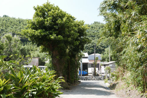 海界の村を歩く 東シナ海 諏訪之瀬島_d0147406_20422941.jpg