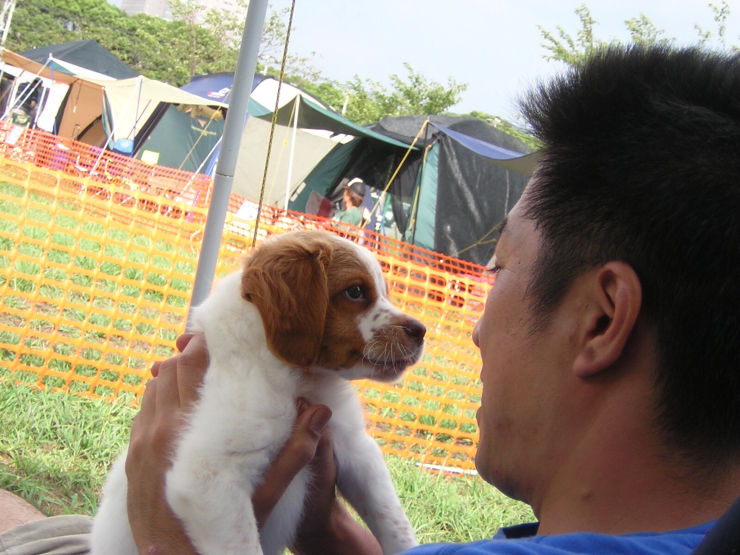 パピパピ Bon Jour Amigo