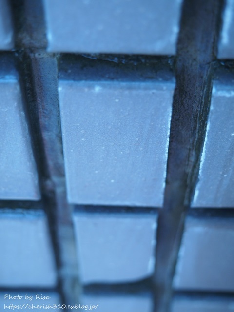 c0274618_19142798.jpg