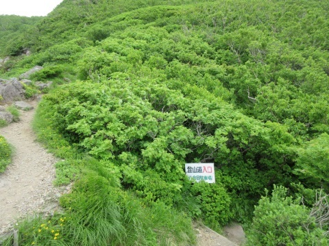 f0149422_20341827.jpg