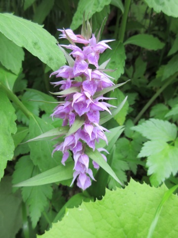 f0149422_20343101.jpg