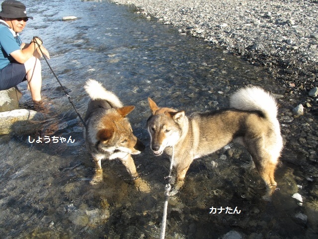 f0143123_09450056.jpg