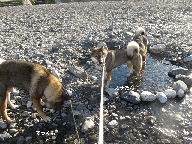 f0143123_09451767.jpg