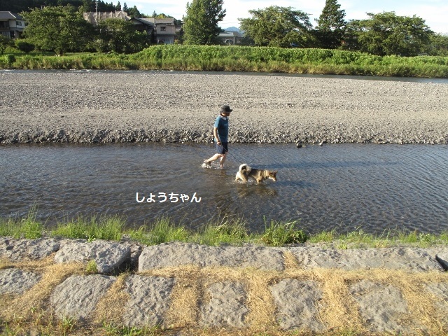 f0143123_09550657.jpg