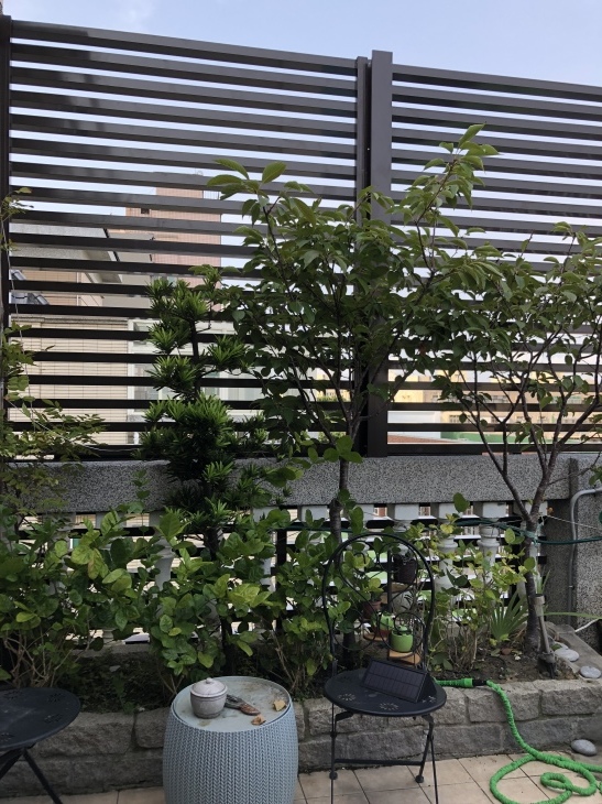 f0057324_20434050.jpeg
