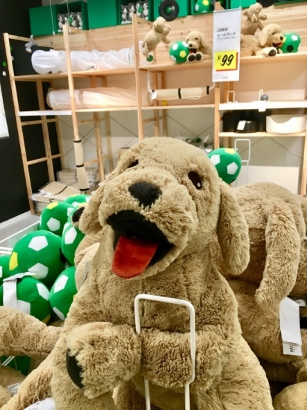 f0238932_15594512.jpeg