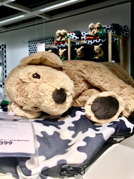 f0238932_16002571.jpeg