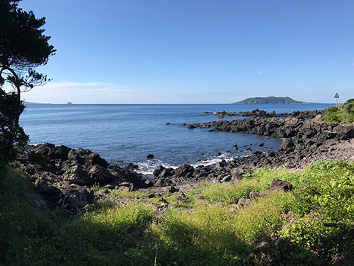 b0035734_18150834.jpg