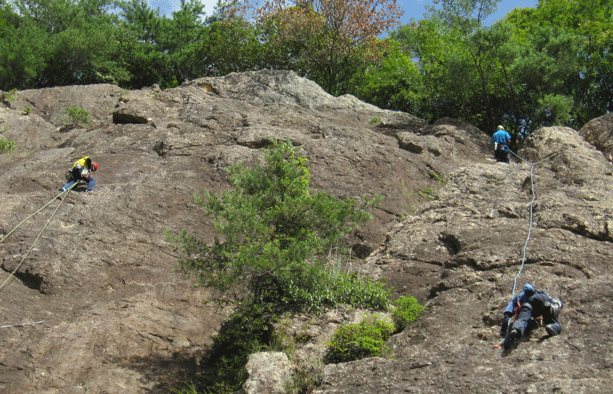 e0371039_15541852.gif