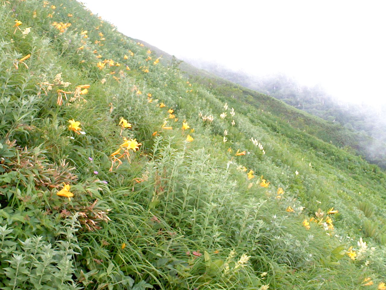 e0371039_220491.jpg