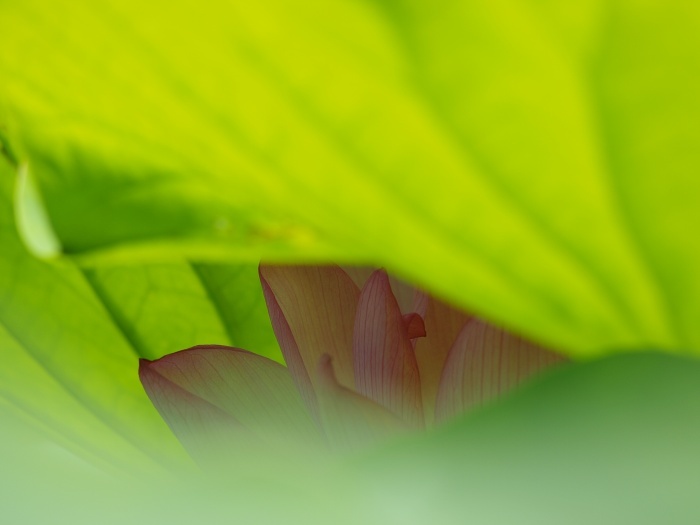 c0281841_15112860.jpg