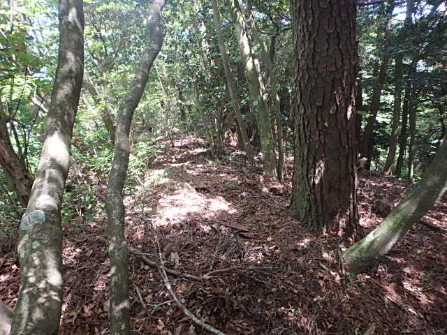 f0334143_64395.jpg