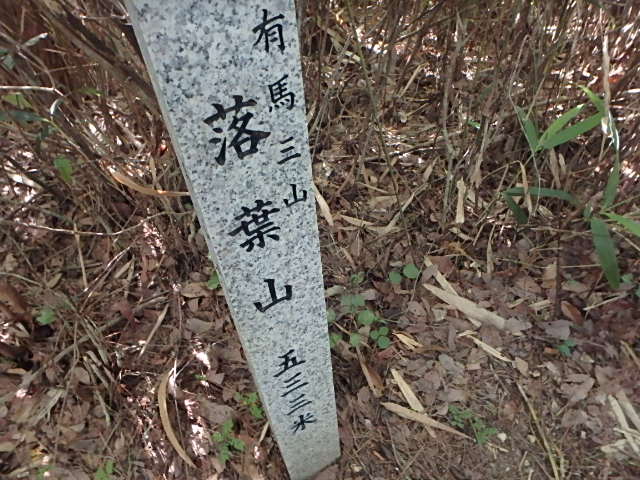 f0334143_74128.jpg
