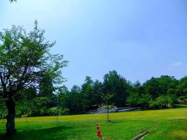 d0131847_19051166.jpg