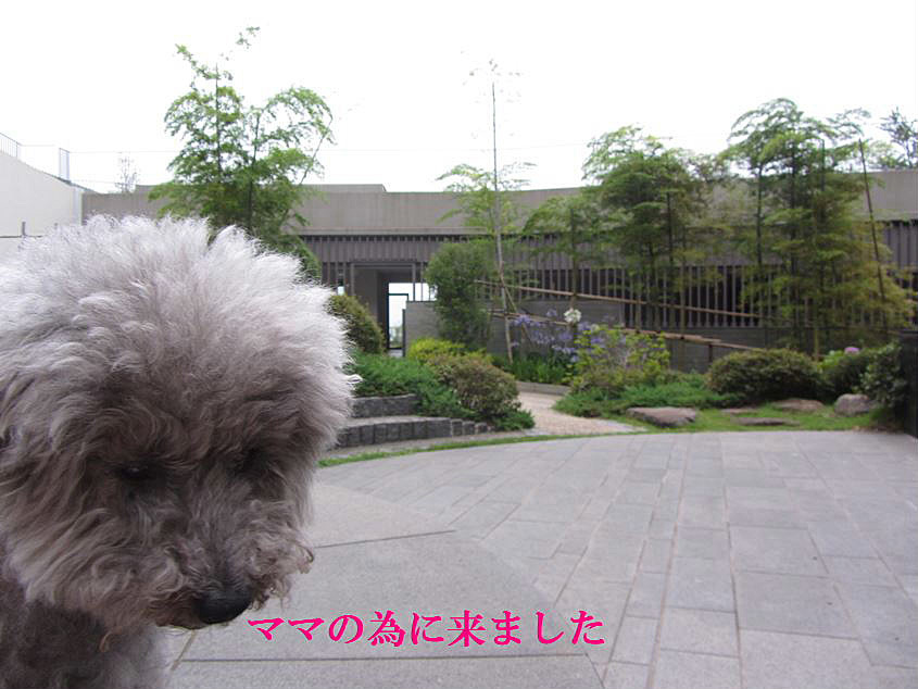 e0129656_22511551.jpg