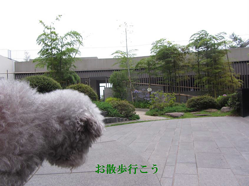 e0129656_22513585.jpg