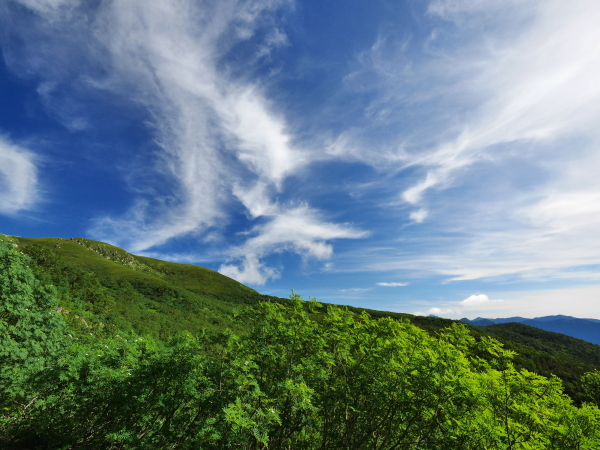 乗鞍岳 位ヶ原山荘から_a0351368_12195795.jpg