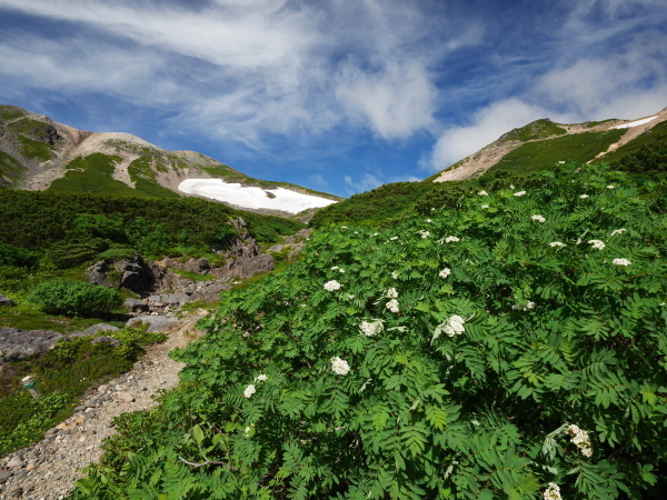 乗鞍岳 位ヶ原山荘から_a0351368_12212408.jpg