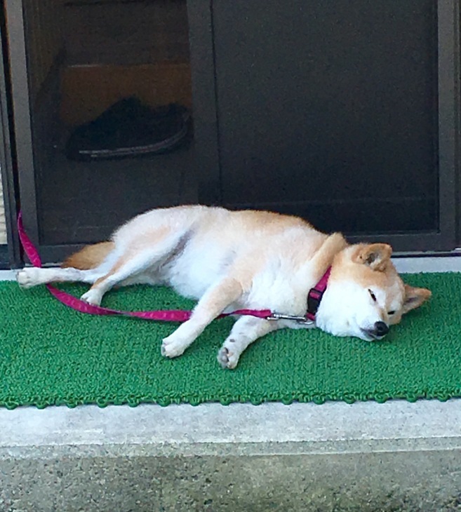 e0160568_12275045.jpeg
