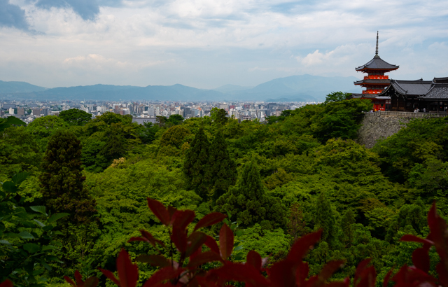 b0247073_21364135.jpg