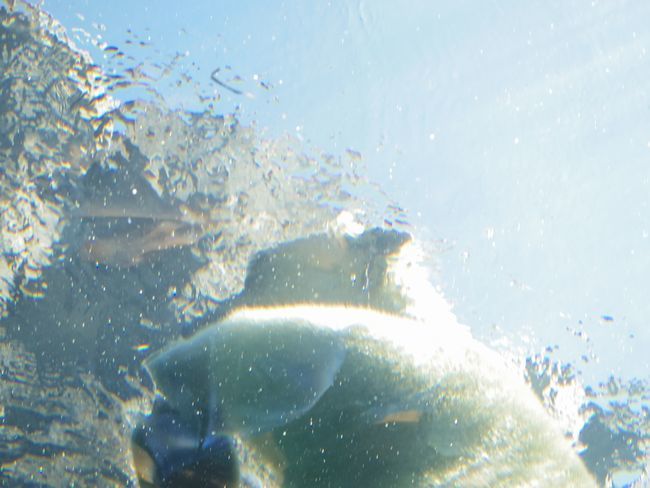 b0014576_10300938.jpg