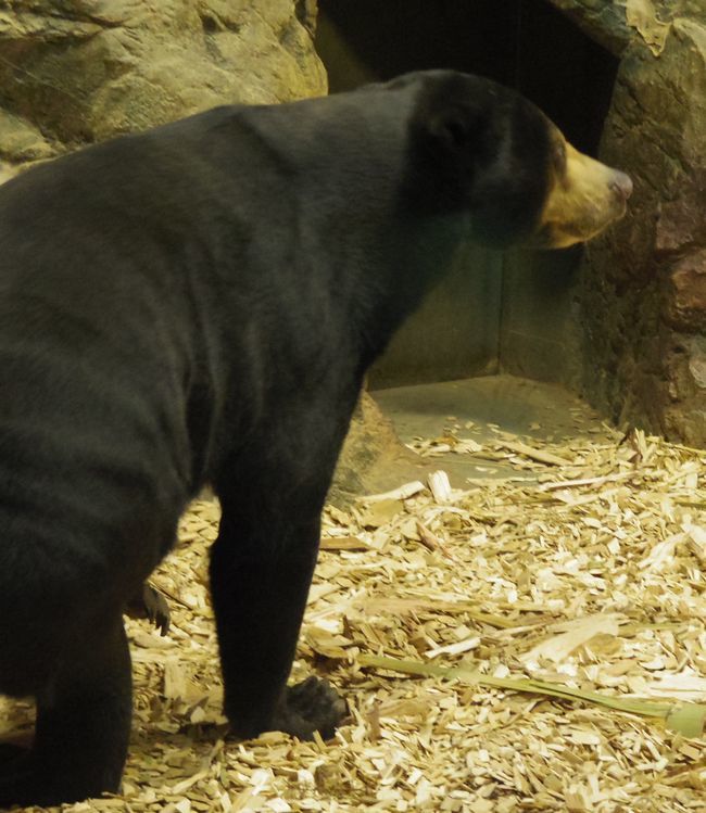 b0014576_10312557.jpg