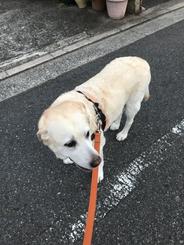 f0315081_21550962.jpeg