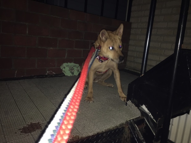 b0377882_23145967.jpeg