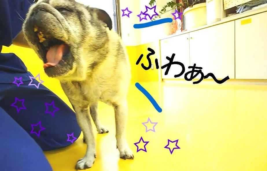 すずしぃねぇ~✨_f0357682_15081608.jpg
