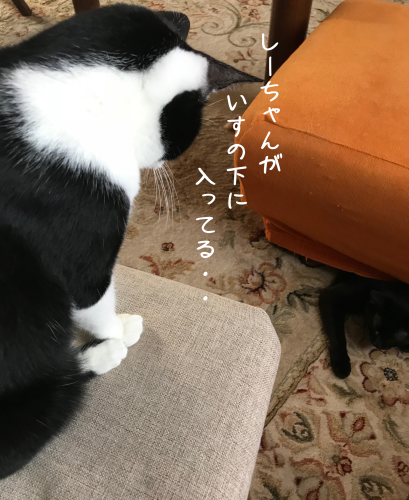 a0216583_19525236.png