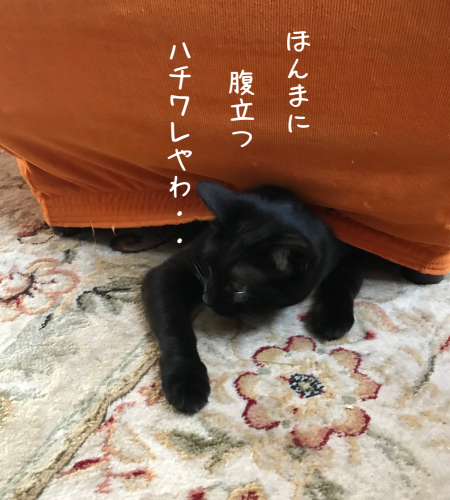 a0216583_19530119.png