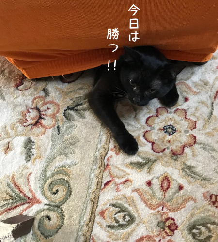 a0216583_19531146.png