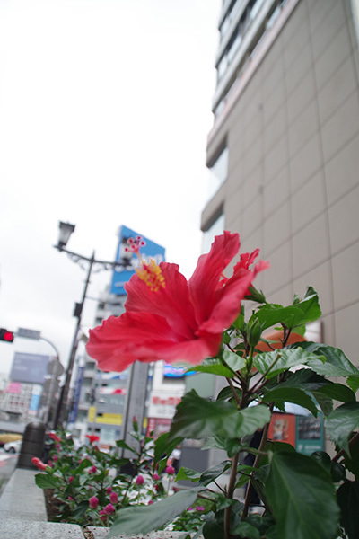 b0056983_13564151.jpg