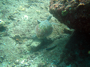 f0144385_20304272.jpg