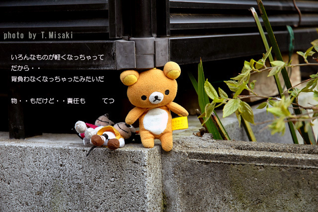「十年ひと昔」と云うけれど・・_d0085887_20453362.jpg