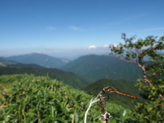 d0156387_21040615.jpg