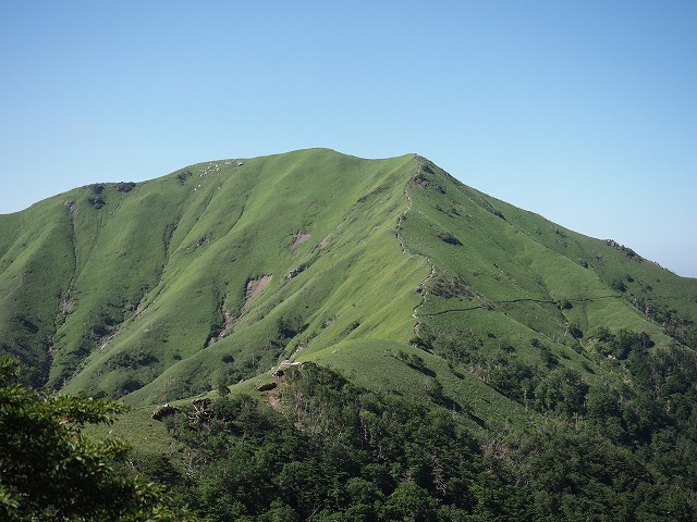 d0156387_21041743.jpg
