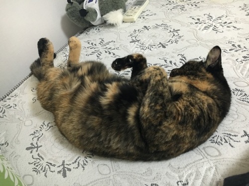 f0235289_14292660.jpeg