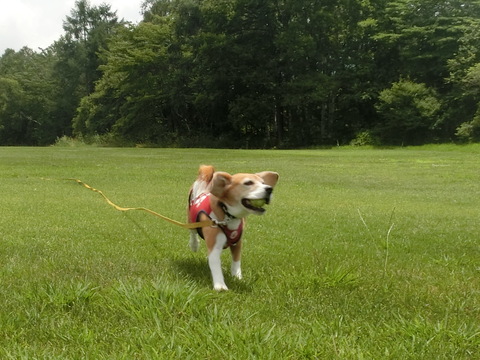 a0319693_7474099.jpg