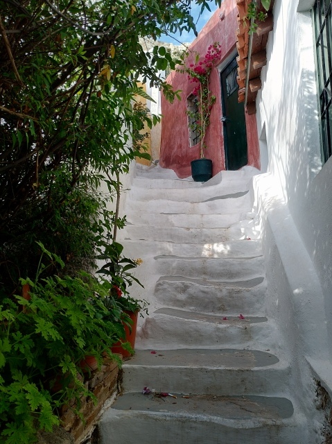f0100593_08405178.jpg