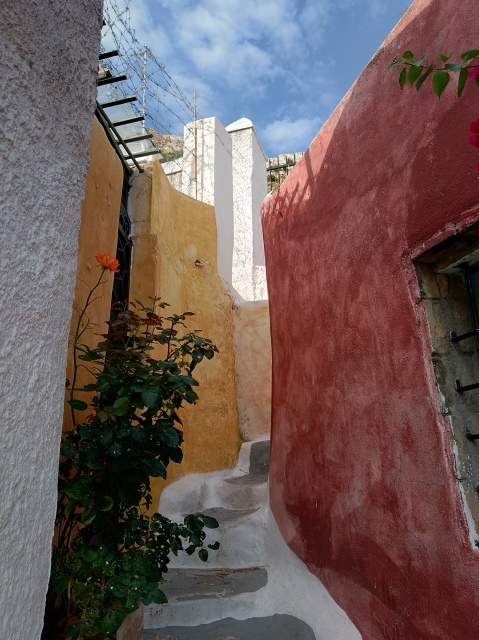 f0100593_08405775.jpg