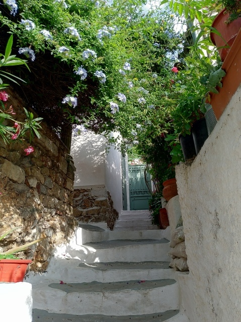 f0100593_08412846.jpg