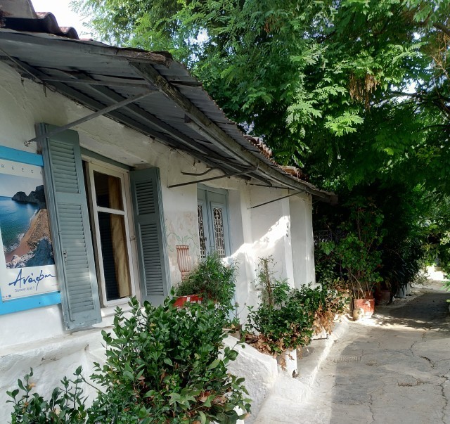 f0100593_14073143.jpg