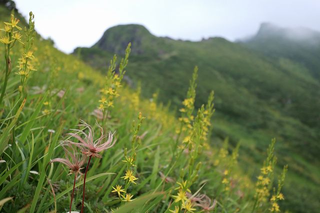 e0137200_22122790.jpg