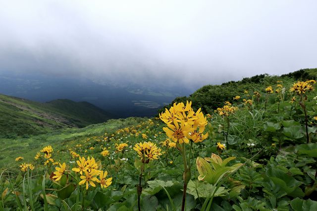 e0137200_2216362.jpg