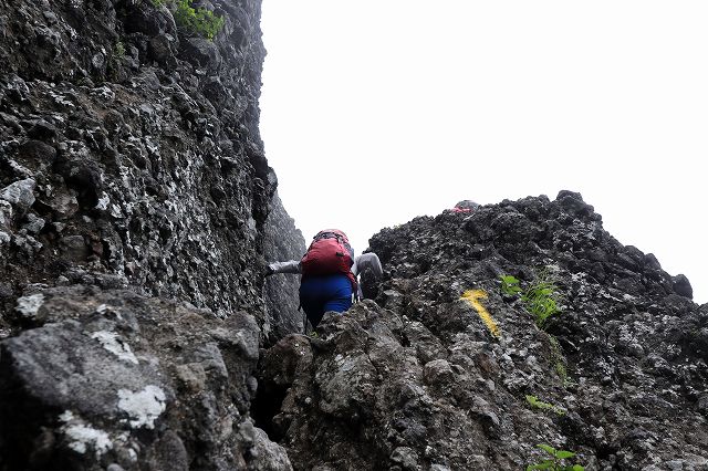 e0137200_22163837.jpg